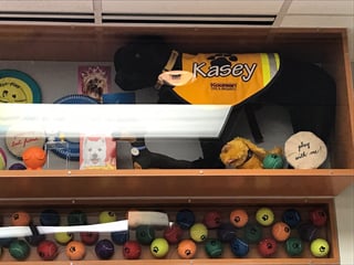 Koorsen Family Donates to Peyton Manning Children’s Hospital for Dog Themed Pediatric Room Koorsen Family Donates to Peyton Manning Children’s Hospital for Dog Themed Pediatric Room