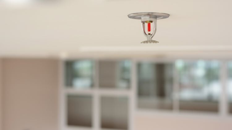 The History And Importance Of Fire Sprinkler Systems