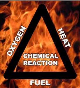 Anatomy of Fire Anatomy of Fire