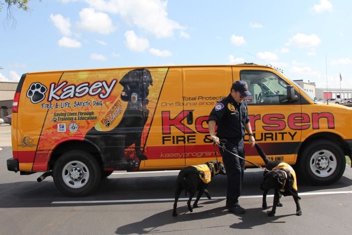 Kasey Dogs and Van