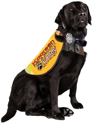 Kasey Program - Teaching kids about fire safety Kasey Program - Teaching kids about fire safety